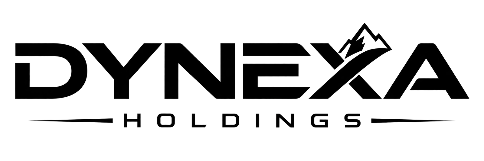 DYNEXA HOLDINGS LLC